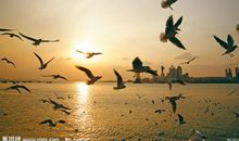 励志的句子致自己