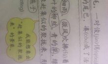 描写燕子外貌的句子