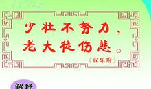 珍惜时间把握机遇的谚语