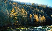 问候短信天气热