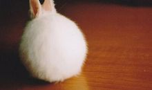 搞笑语句大全：有种女孩，脑海里只有两件事，吃和减肥