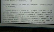 描写动物的精彩段落