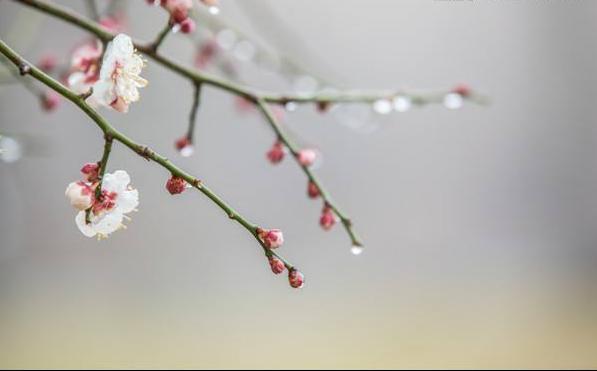 潮湿的事物无声