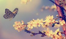 简单就是幸福的句子汇总