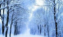 关于描写寒冷句子