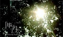 即将离别不舍的句子