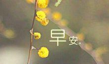 早安开心的句子