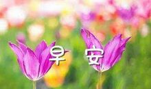 早上短信客户问候