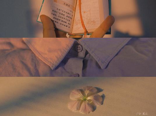 “ 520你如何生活”和“跳过”