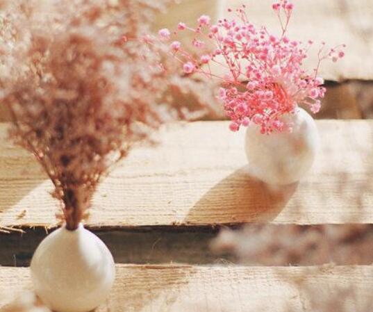 圣诞节的英语句子 0