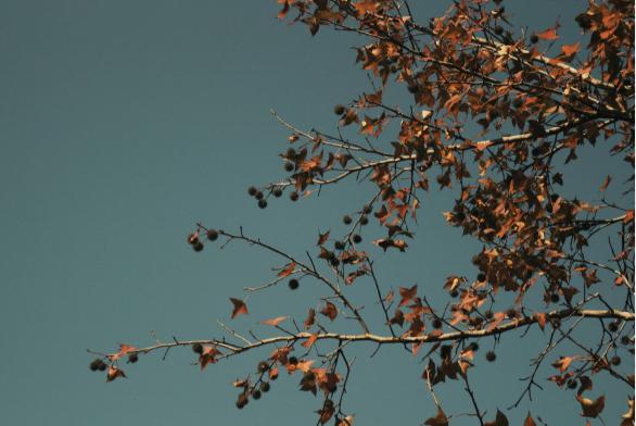 您应该吃饱和睡个好觉