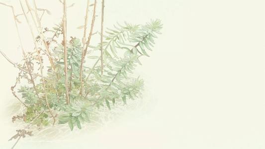 请享受编辑编写的感激之情和家庭情感的句子