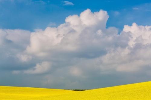说亲情的句子英文 1