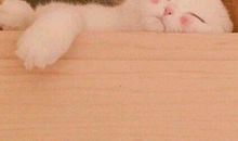 感恩父母的暖心简单句子