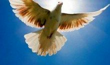 勤学好问的名言