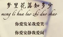 梦里花落知多少经典句子