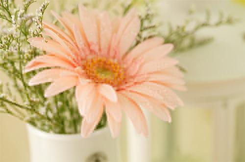 人们可能从未像现在这样渴望上班