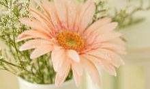 终于可以上班发的朋友圈说说