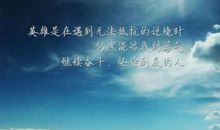 关于人生磨练的名言