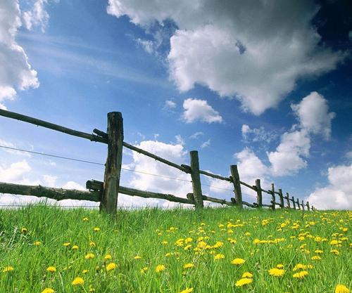 让我们看一下编辑所编的有关描述珍惜爱情的年份的句子