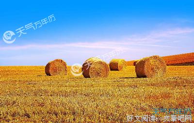 也许我真的再也不会感到痛苦了