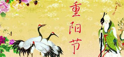 一杯菊花酒带给我最真实的问候