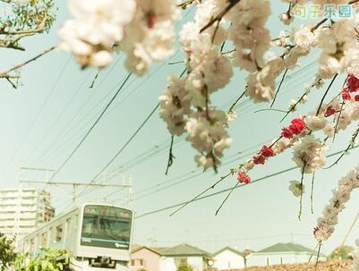 有时不是诗歌和距离