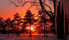 与亲情有关的描写句子