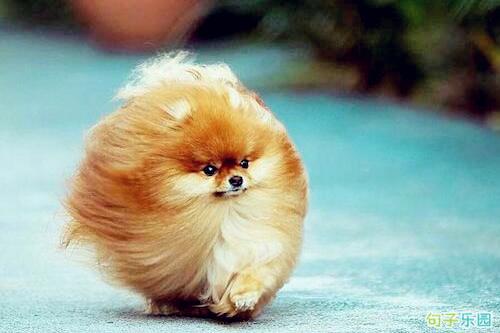 今天是美好的一天