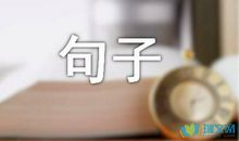 心累迷茫的句子