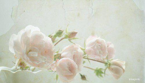 经过一段时间的努力