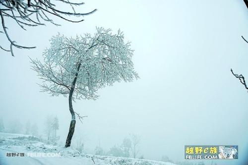 请享受由编辑组织的关于家庭之爱的文学和艺术感言