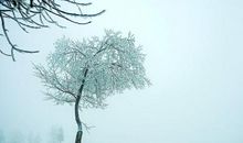 关于亲情文艺句子说说心情短语