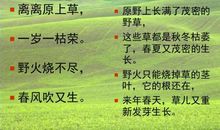 写出描写小草的诗句