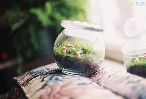 越多的人可以看到