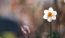 形容家庭幸福的句子最新精选