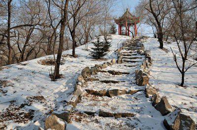 花罗的声音知道风