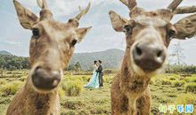 创意有趣的晒结婚证文案 520情人节结婚的搞笑文案