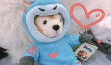 5月20日朋友圈文案 适合情人节发朋友圈说说