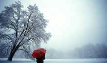 形容对一个人彻底心凉失望的句子