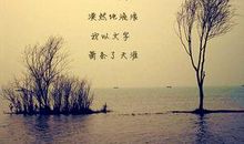 安静的优美句子