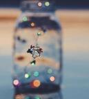 以下是我为对我的女朋友感到失望的每个人编写的句子