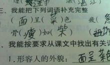 描写年轻有为的句子