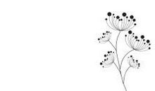 七夕抖音暖心句子