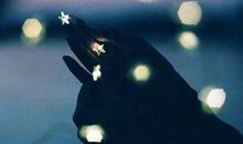 能够打动人心的话