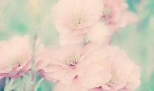 描写美好幸福的句子