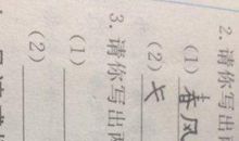 抒发思乡之情的诗句