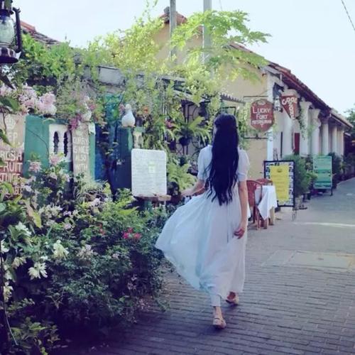 请欣赏编辑所组织的优美而优美的句子