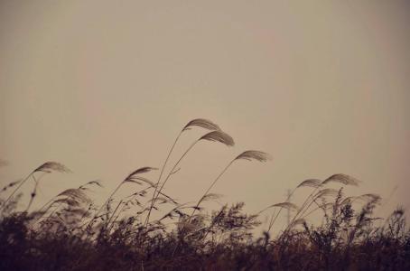 这种失望情绪从未压倒