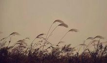 表示对一个男人很失望的句子